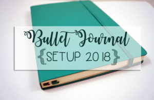 Bullet Jouernal Setup 2018
