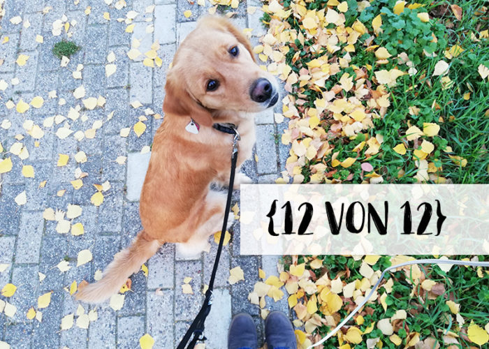 12 von 12 | klitzekleinedinge