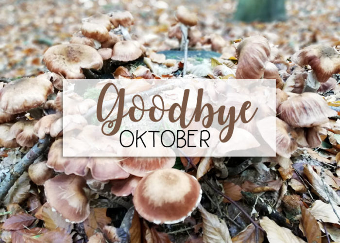 Goodbye Oktober | Hallo November!