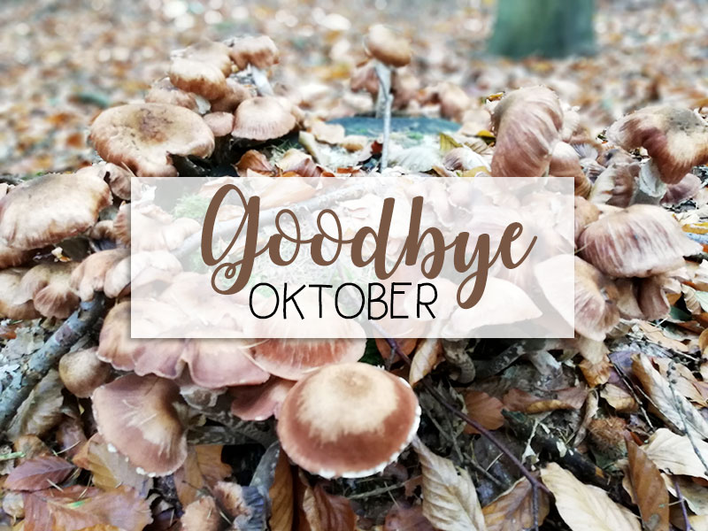 Goodbye Oktober | Hallo November!