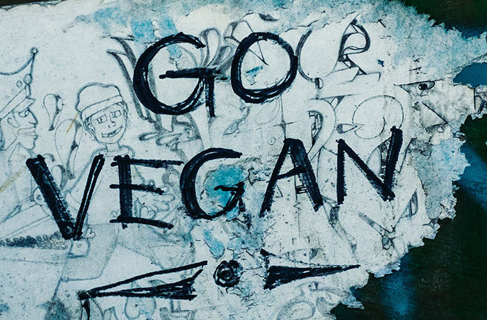 Warum Vegan? | klitzekleinedinge